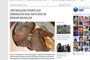 200 Million Years Old Dinosaur Egg Hatches in Berlin Museum’ of 